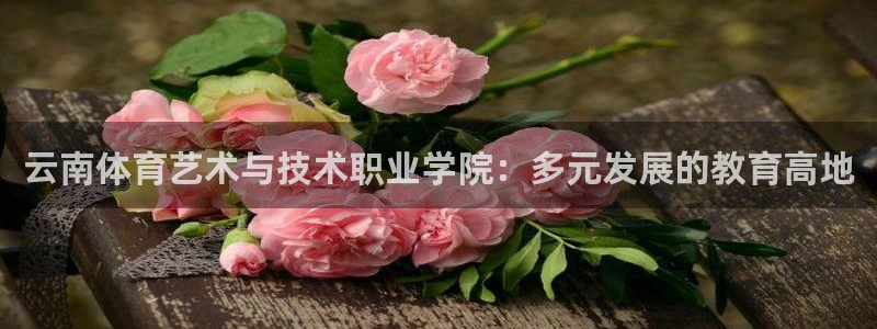 火爆体育app下载入口：云南体育艺术与技术职业学院：多元发展的教育高地