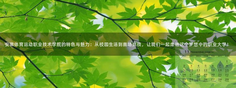 火爆体育下载：安徽体育运动职业技术学院的特色与魅力：从校园生活到赛场竞技，让我们一起走进这个梦想中的职业大学！
