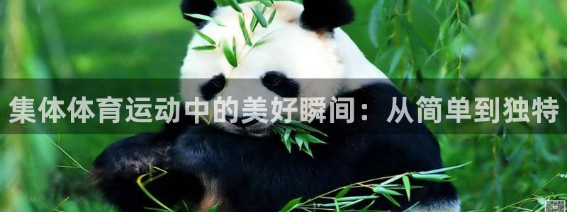 火爆体育赛事：集体体育运动中的美好瞬间：从简单到独特