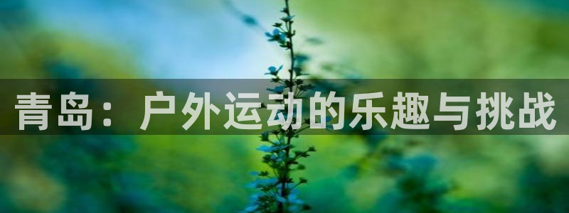 火爆体育在线直播：青岛：户外运动的乐趣与挑战