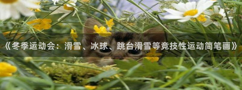 火爆体育赛事：《冬季运动会：滑雪、冰球、跳台滑雪等竞技性运动简笔画》
